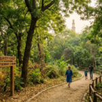 Sanjay Van